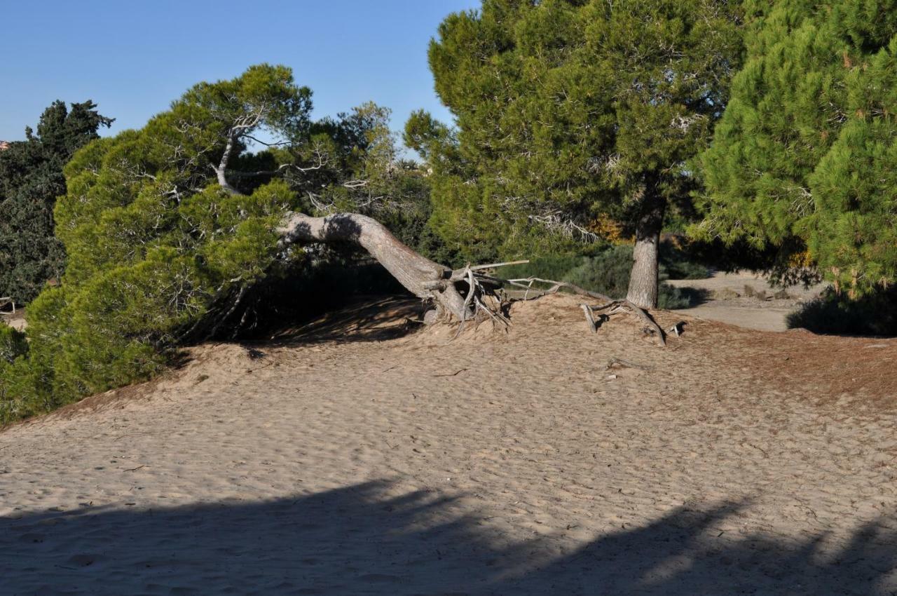 Costahispania 308 Gran Alacant Dış mekan fotoğraf
